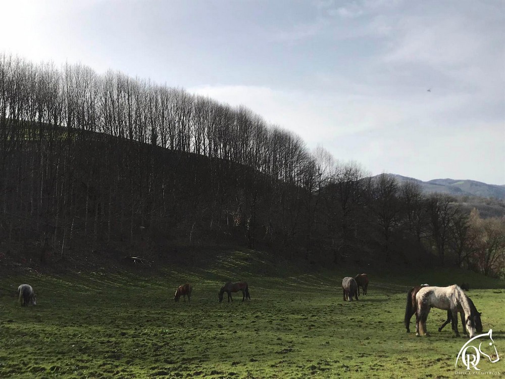 #yoentrenoencasa con Reynaldo Armendáriz